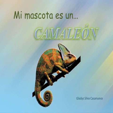 Mi mascota es un camaleón (1)