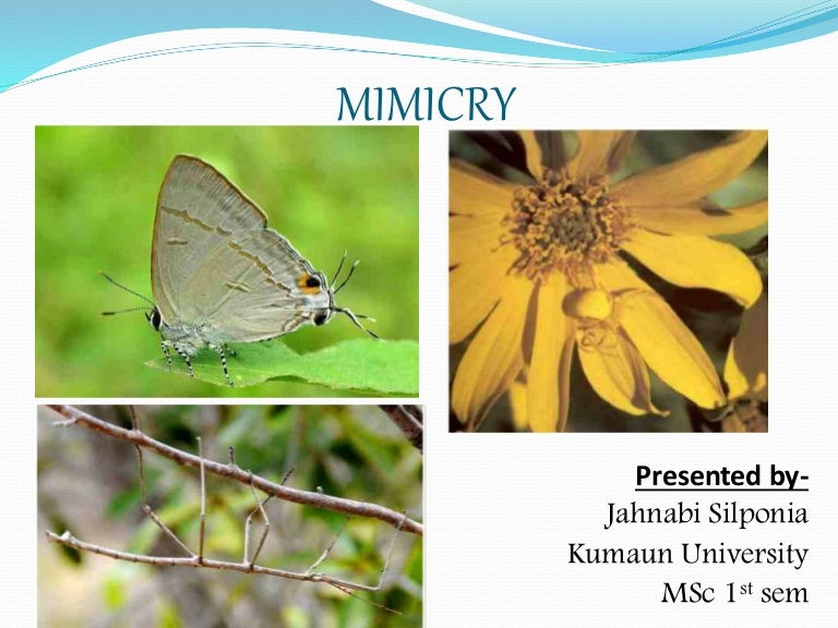 Mimicry (Evolutionary Biology)