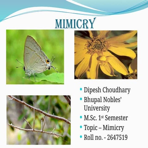 Mimicry (Evolutionary Biology) | PPTX