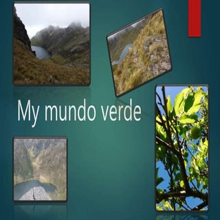 Mi mundo verde[1]