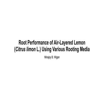 Root Performance of Air-Layered Lemon Tree | PPTX