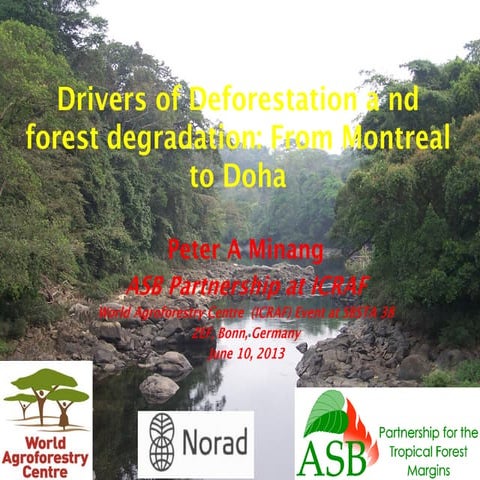 Drivers of deforestation and forest degradation | PDF