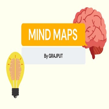 MIND-MAPS MERGED(Colour) Public Administration by GRAJPUT.pdf
