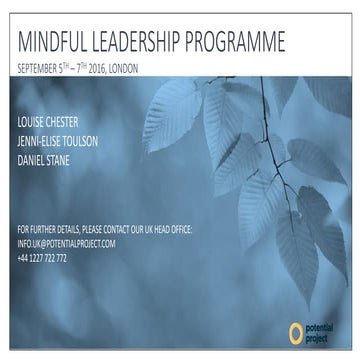 Mindful Leadership Program