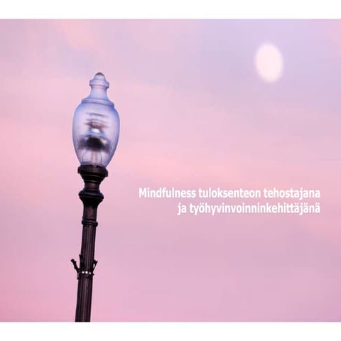 Mindfulness tuloksenteon tehostajana ja (työ)hyvinvoinnin rakentajana, Mikkel...