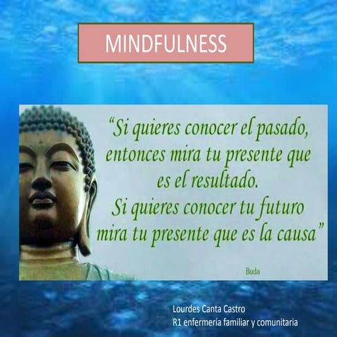 (17-12-2014)MINDFULNESS(PTT)