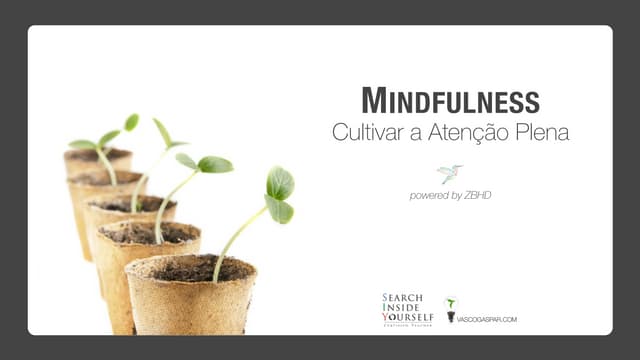 Mindfulness   cultivar a atenção ...