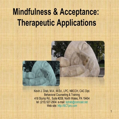 Mindfulness &amp; Acceptance Powerpoint