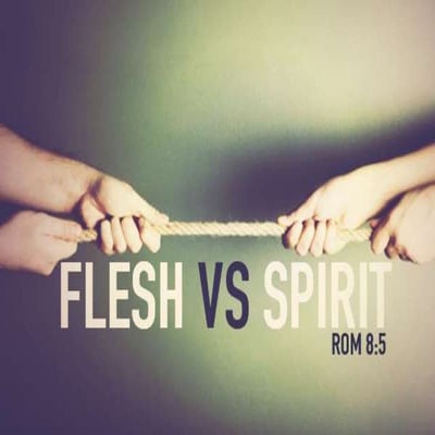 Mindfulness & Meditation!