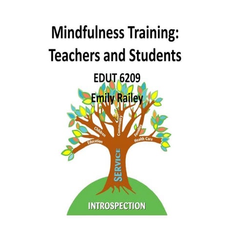 Mindfulness training 