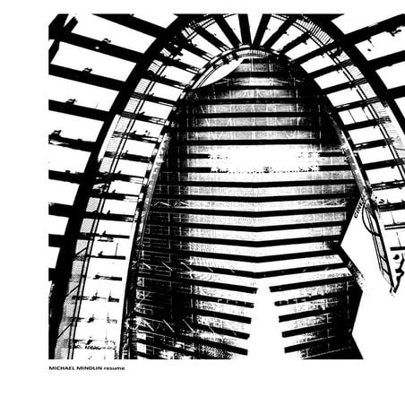 Mindlin Resume2010[1]