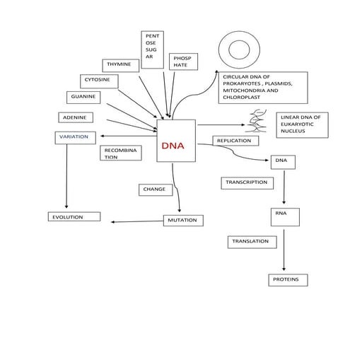 Mind map | DOCX