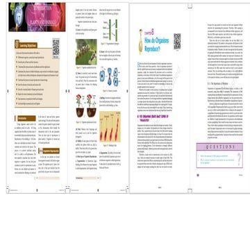 Mind Map An Effective Learning Tool Pptx