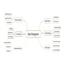Mind Map_stress_management_assignment.pdf