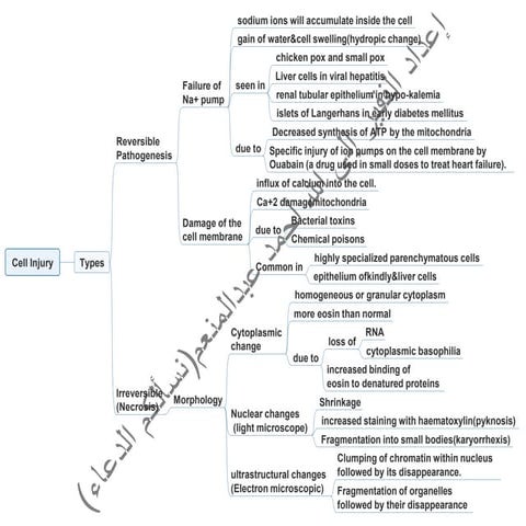 Pathophysiology Mindmap