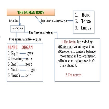 Science Form 2:Chapter 1 | PPT