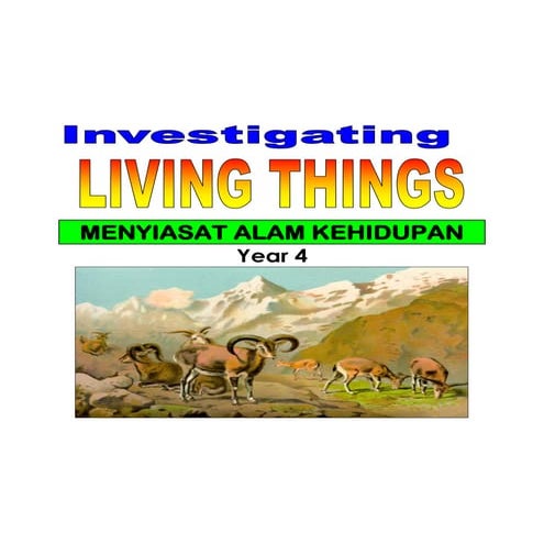 Mindmapyear456 111201104639-phpapp02