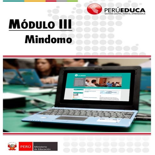 Mindomo 1