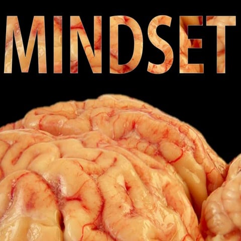 Mindset (The Growth Mindset vs. the Fixed Mindset) for Kindergarten through F...