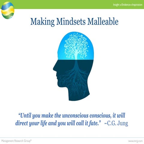 Making Mindsets Malleable: Supporting Shifts in Perspective that Unlock Trans...