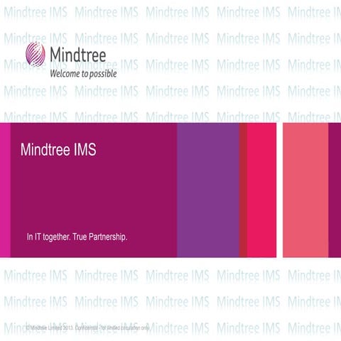 Mindtree IMS Offerings
