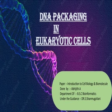 mine1.pptvcey2gusonkwxd cjhvwugihje;lm,n. ckdwvelhjxm./ x