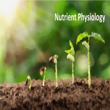 Mineral and theories