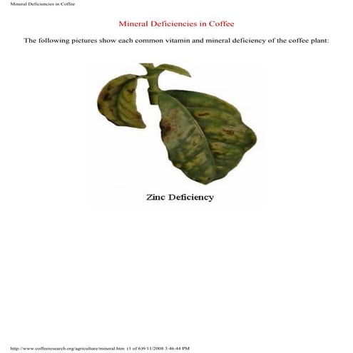 Mineral deficiencies in coffee