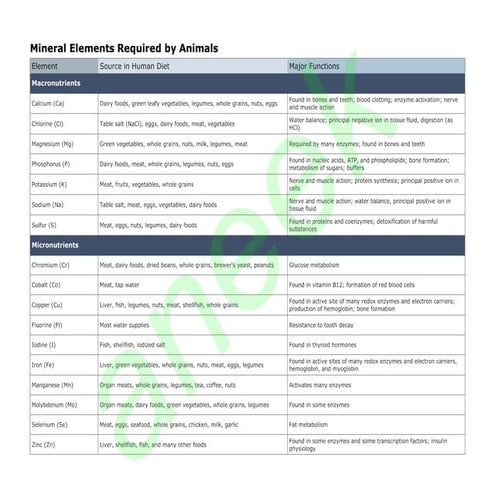 Mineral Elements Required By Humans By Aneek Gupta