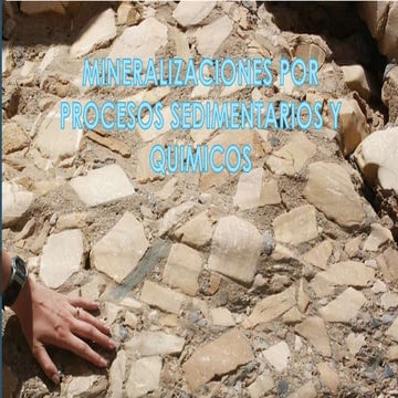 Mineralizaciones por procesos sedimentarios y quimicos jls