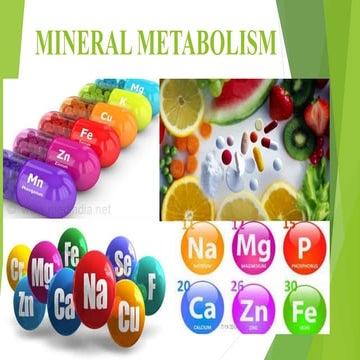 Which Of The Following Minerals Is Linked With Energy Metabolism Mineral metabolism | PPT