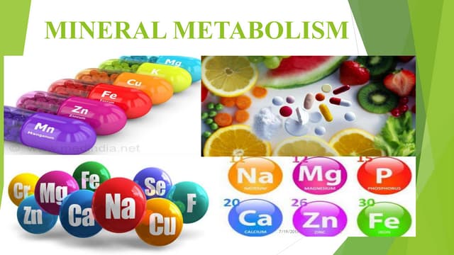 Which Of The Following Minerals Is Linked With Energy Metabolism Mineral metabolism | PPT