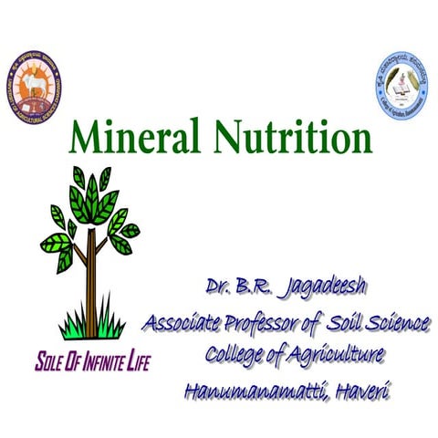 Mineral nutrition in plants