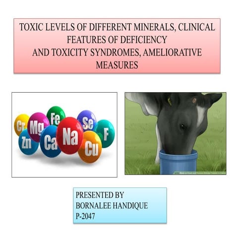 Mineral toxicity ppt