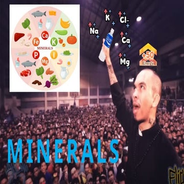 A short overview on Minerals from Macro to Micro Minerals