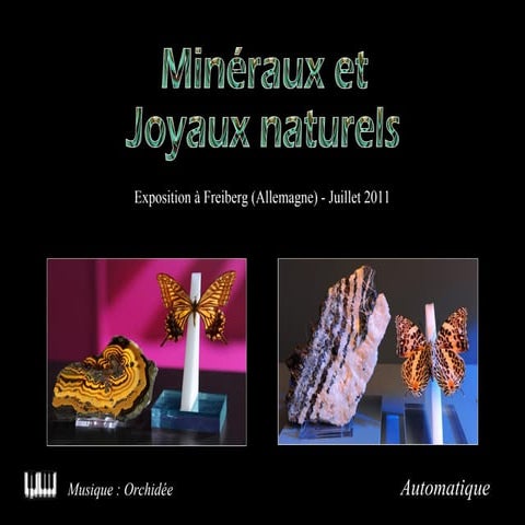 Mineraux et insectes 