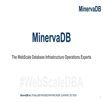 MinervaDB corporate profile