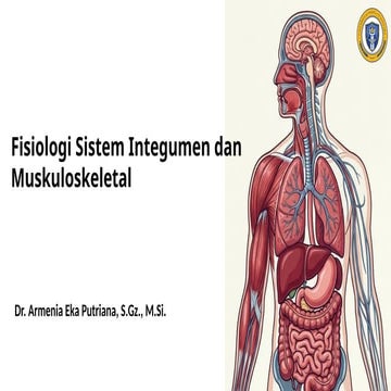 Fisiologi Sistem Integumen dan Muskuloskeletal: Fungsi, Mekanisme, dan ...