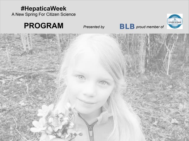 #HepaticaWeek - Celebrating spring with citizen science 