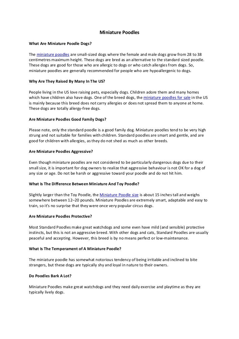 poodles free to good home