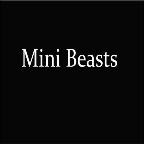Minibeasts