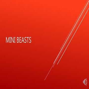 Mini beasts