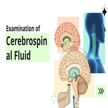 Cerebrospinal Fluid (CSF) Examination.pptx