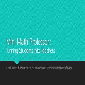 Mini math professor