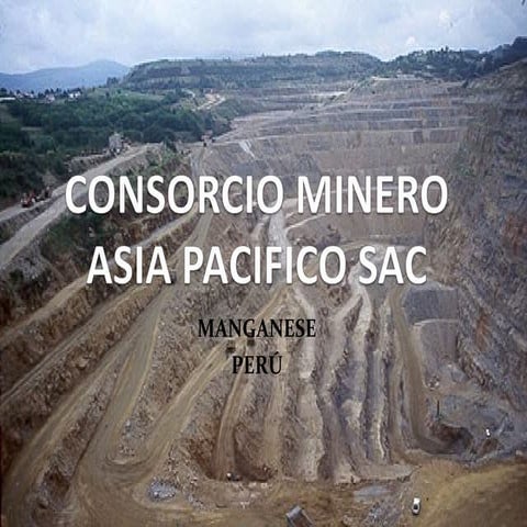 Mining prospect manganese, DEPISA I
