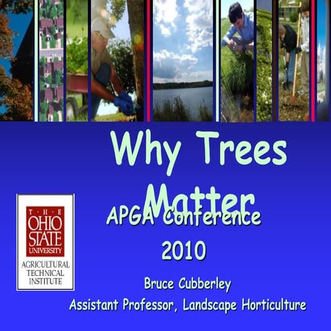 Horticulture and Garden Operations Mini Series: Why Trees Matter | PPTX