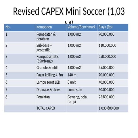 Mini_Soccer_Financial_Analysis_Final_PPT.pptx