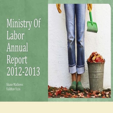 Ministry of labor annual report 2012 2013