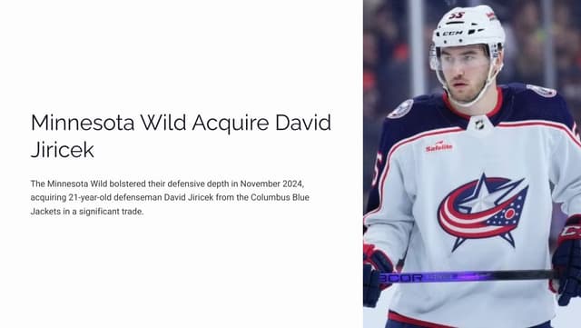 Minnesota Wild Acquire David Jiricek in November 2024