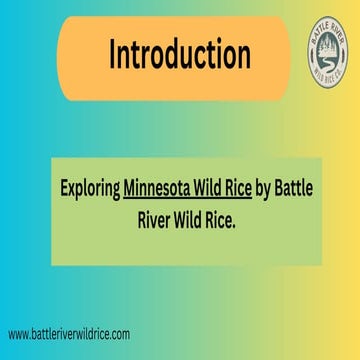 Minnesota Wild Rice.pdf